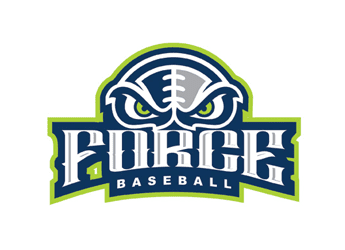 Baseball Team Mascot Logo