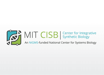 dna strand in square biomedicine logo