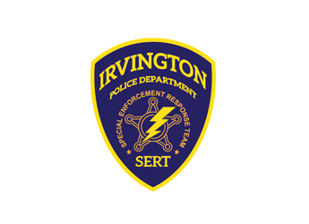 flat logo design with five point star lightning shield for government organization