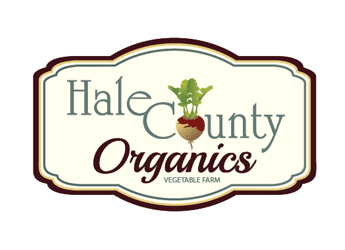 radish in a vintage outline for vegetable farm brand identity