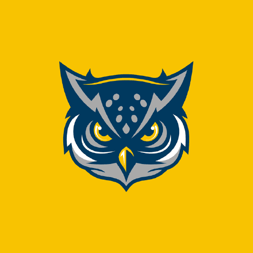 owl mascot for university