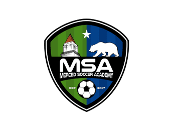 soccer logo with tower, polar bear and ball in shield