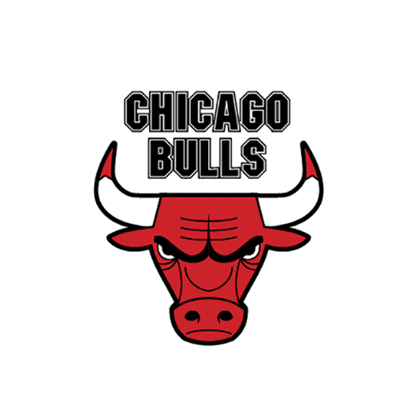 Chicago Bulls logo PNG