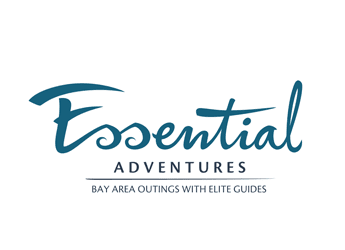 swoosh font in tour logo